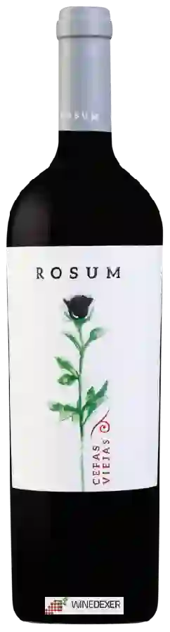 Winery Rosum - Cepas Viejas