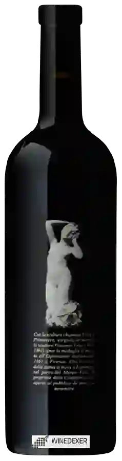 Winery Rovio Ronco - Vincenzo Vela Rosso del Ticino