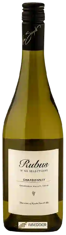Winery Rubus - Chardonnay Colchagua Valley