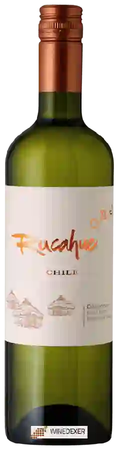 Winery Rucahue Family Vineyard - Chardonnay