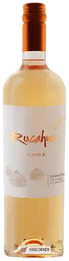 Winery Rucahue Family Vineyard - Sauvignon Blanc Winery Rucahue Family Vineyard - Sauvignon Blanc