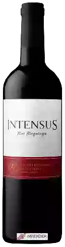 Winery Rui Reguinga - Intensus