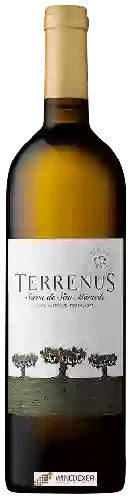 Winery Rui Reguinga - Terrenus Branco