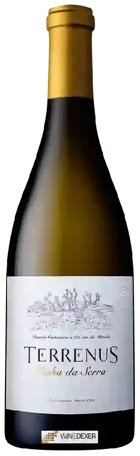 Winery Rui Reguinga - Terrenus Vinha da Serra Winery Rui Reguinga - Terrenus Vinha da Serra