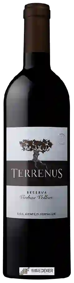 Winery Rui Reguinga - Terrenus Vinhas Velhas Reserva