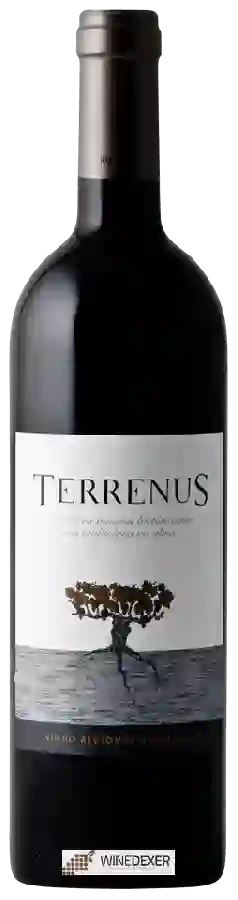 Winery Rui Reguinga - Terrenus Winery Rui Reguinga - Terrenus