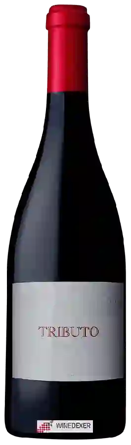 Winery Rui Reguinga - Tributo Winery Rui Reguinga - Tributo