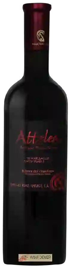 Winery Ruiz Torres - Attelea Tinto Roble