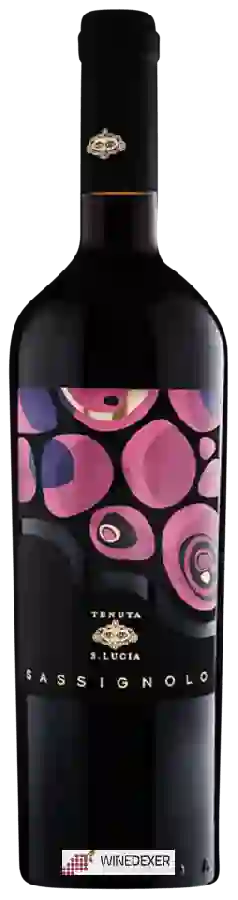 Winery Tenuta S. Lucia - Sassignolo