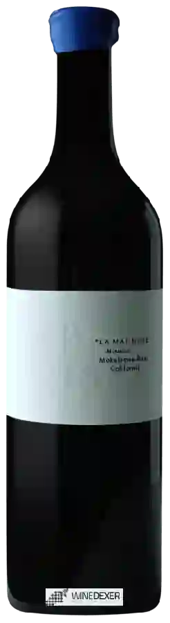 Winery Sabelli Frisch - La Malinche