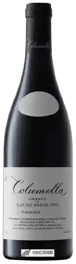 Winery Sadie Family - Columella Winery Sadie Family - Columella