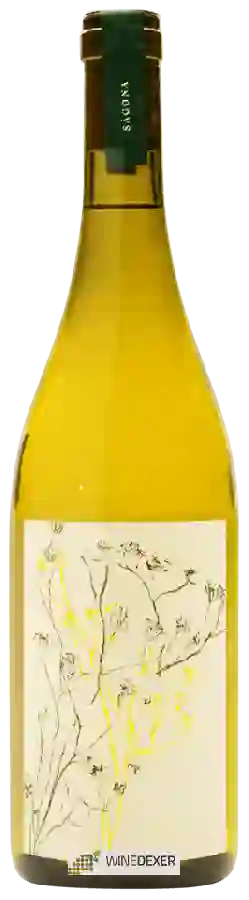 Winery Sagona - Primi Passi