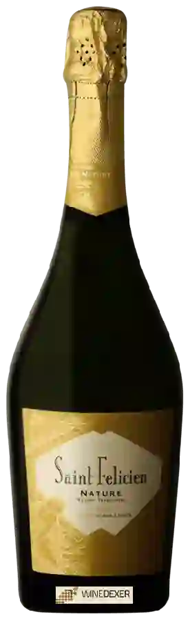 Winery Saint Felicien - Nature