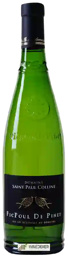 Domaine Saint Paul Colline - Picpoul de Pinet
