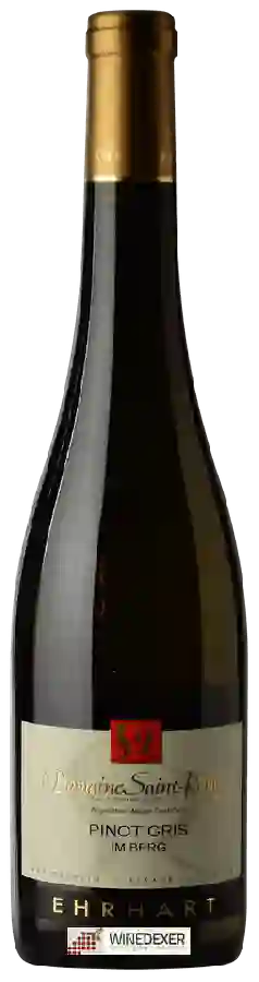 Domaine Saint-Rémy - Pinot Gris IM Berg