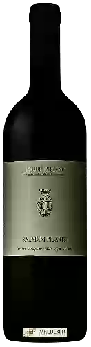 Winery Saladini Pilastri - Rosso Piceno Conte Saladino