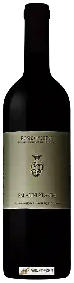 Winery Saladini Pilastri - Rosso Piceno Conte Saladino Winery Saladini Pilastri - Rosso Piceno Conte Saladino