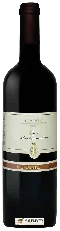 Winery Saladini Pilastri - Rosso Piceno Vigna Monteprandone Superiore Winery Saladini Pilastri - Rosso Piceno Vigna Monteprandone Superiore