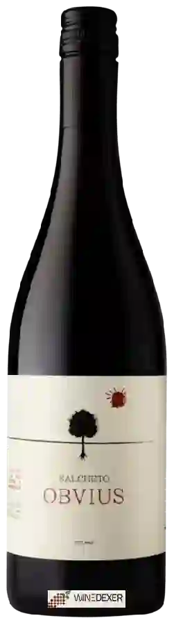 Winery Salcheto - Obvius Winery Salcheto - Obvius