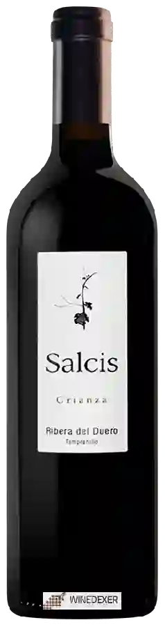 Winery Salcis - Crianza