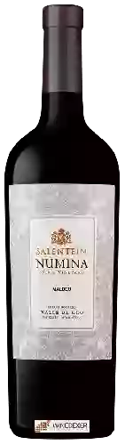 Winery Salentein - Numina Malbec