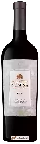 Winery Salentein - Numina Syrah
