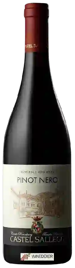 Winery Castel Sallegg - Pinot Nero