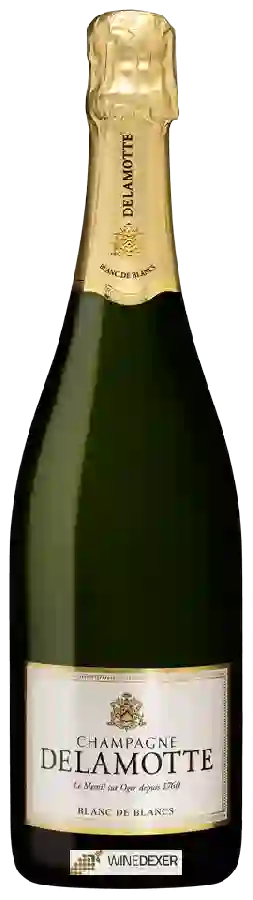Winery Delamotte - Blanc de Blancs Brut Champagne Grand Cru 'Le Mesnil-sur-Oger'