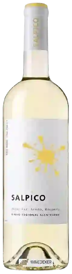 Winery Salpico - Alentejano Branco