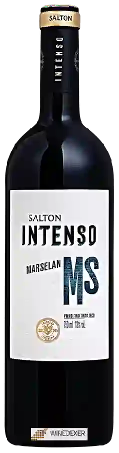 Winery Salton - Intenso Marselan