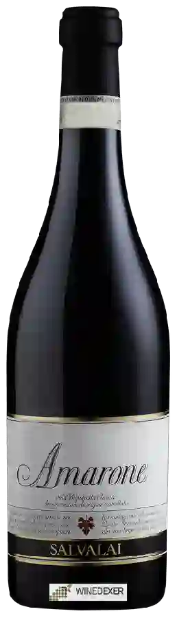 Winery Salvalai - Amarone della Valpolicella Classico Winery Salvalai - Amarone della Valpolicella Classico