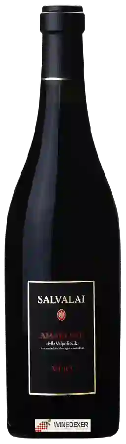 Winery Salvalai - Vejo Amarone della Valpolicella