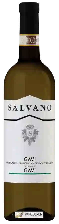 Winery Salvano - Gavi