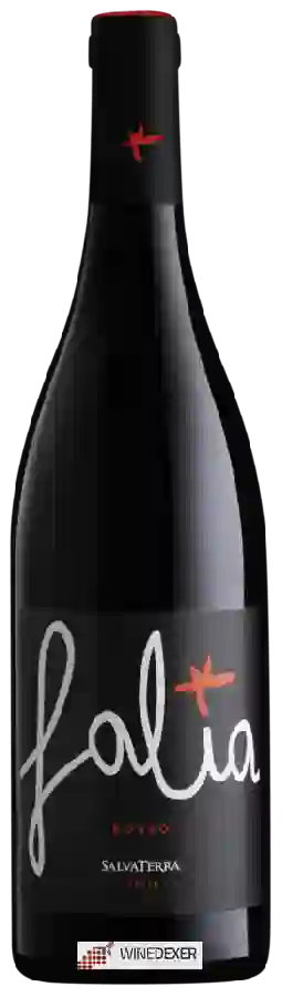 Winery SalvaTerra - Falia Rosso