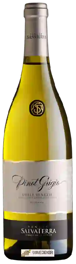 Winery SalvaTerra - Pinot Grigio