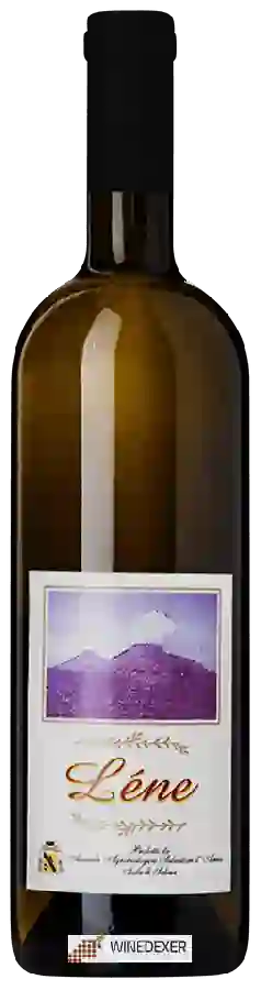 Winery Salvatore d'Amico - Léne Winery Salvatore d'Amico - Léne