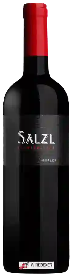 Winery Salzl Seewinkelhof - Merlot