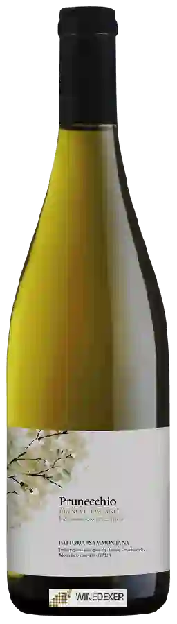 Winery Sammontana - Prunecchio Bianco Toscana Winery Sammontana - Prunecchio Bianco Toscana