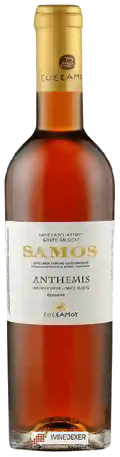 Winery Samos - Anthemis