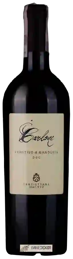 Winery Cantina Sampietrana - Carlone Primitivo di Manduria