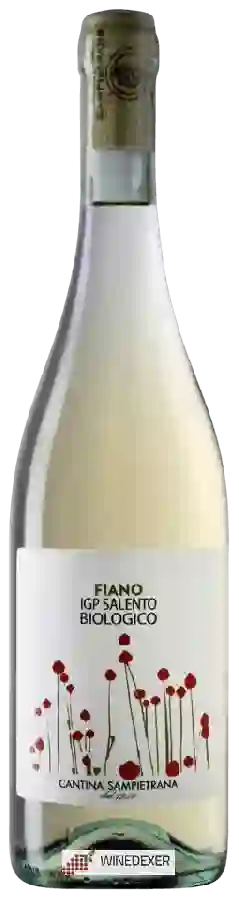 Winery Cantina Sampietrana - Fiano Biologico
