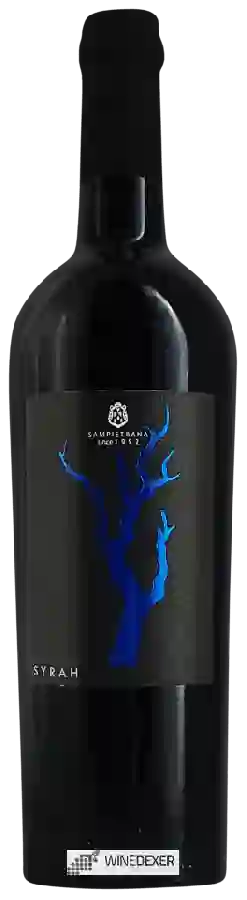 Winery Cantina Sampietrana - SYRAH Sampietrana