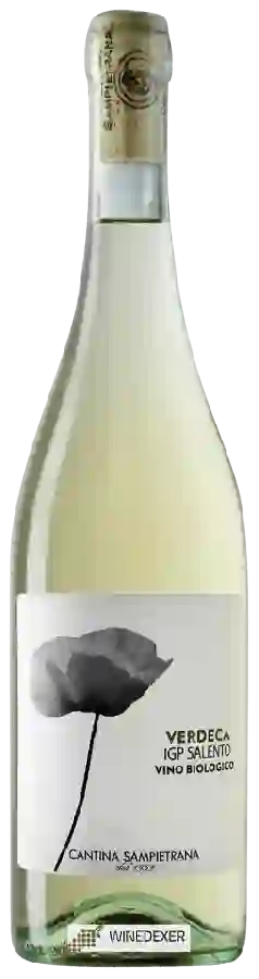 Winery Cantina Sampietrana - Verdeca Biologico