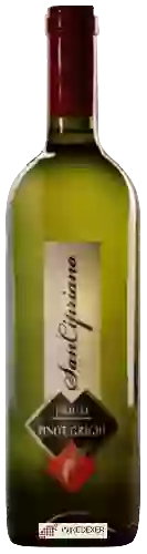 Winery San Cipriano - Pinot Grigio