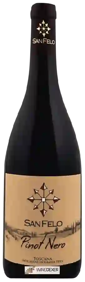 Winery Fattoria Sanfelo - Pinot Nero