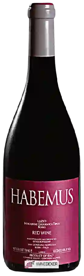 Winery San Giovenale - Habemus Lazio Rosso (Red Label)