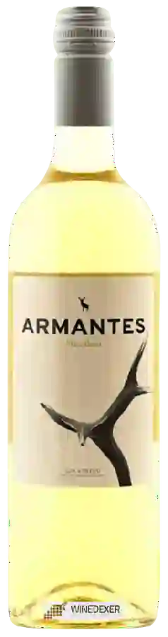 Winery San Gregorio - Armantes Macabeo