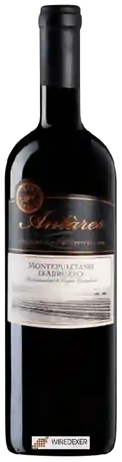 Winery San Lorenzo - Antàres Montepulciano d'Abruzzo