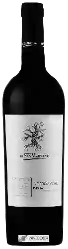 Winery San Marzano - I Tratturi Negroamaro