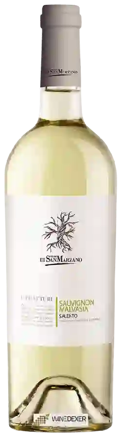 Winery San Marzano - I Tratturi Sauvignon - Malvasia Winery San Marzano - I Tratturi Sauvignon - Malvasia